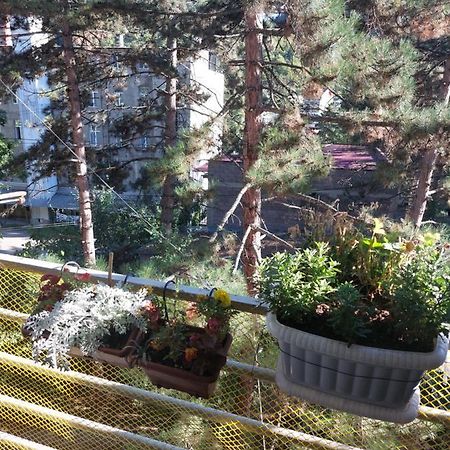 Londa Apartment Borjomi ภายนอก รูปภาพ