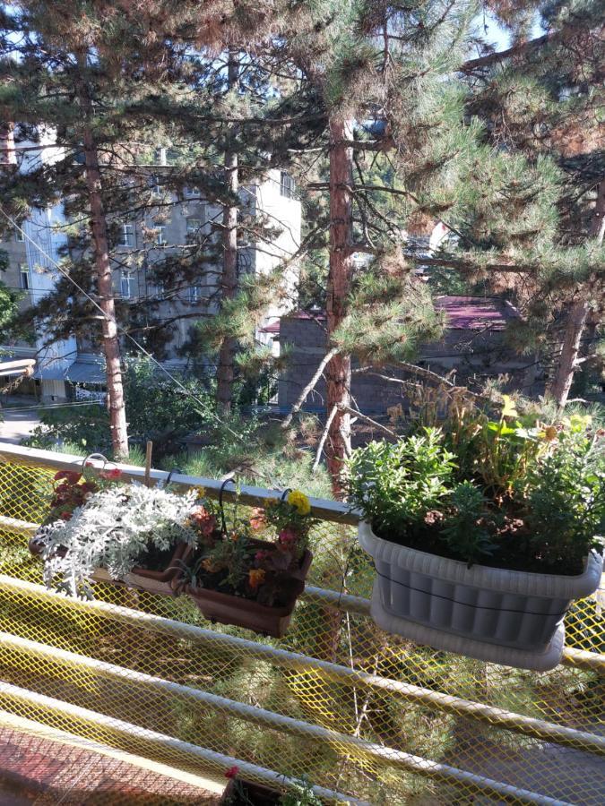 Londa Apartment Borjomi ภายนอก รูปภาพ