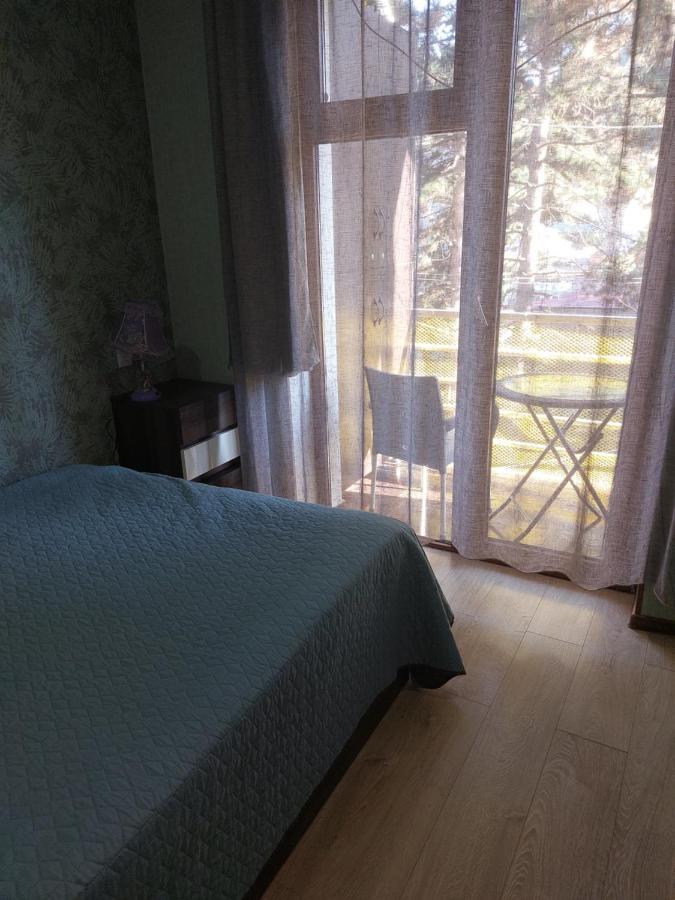 Londa Apartment Borjomi ภายนอก รูปภาพ